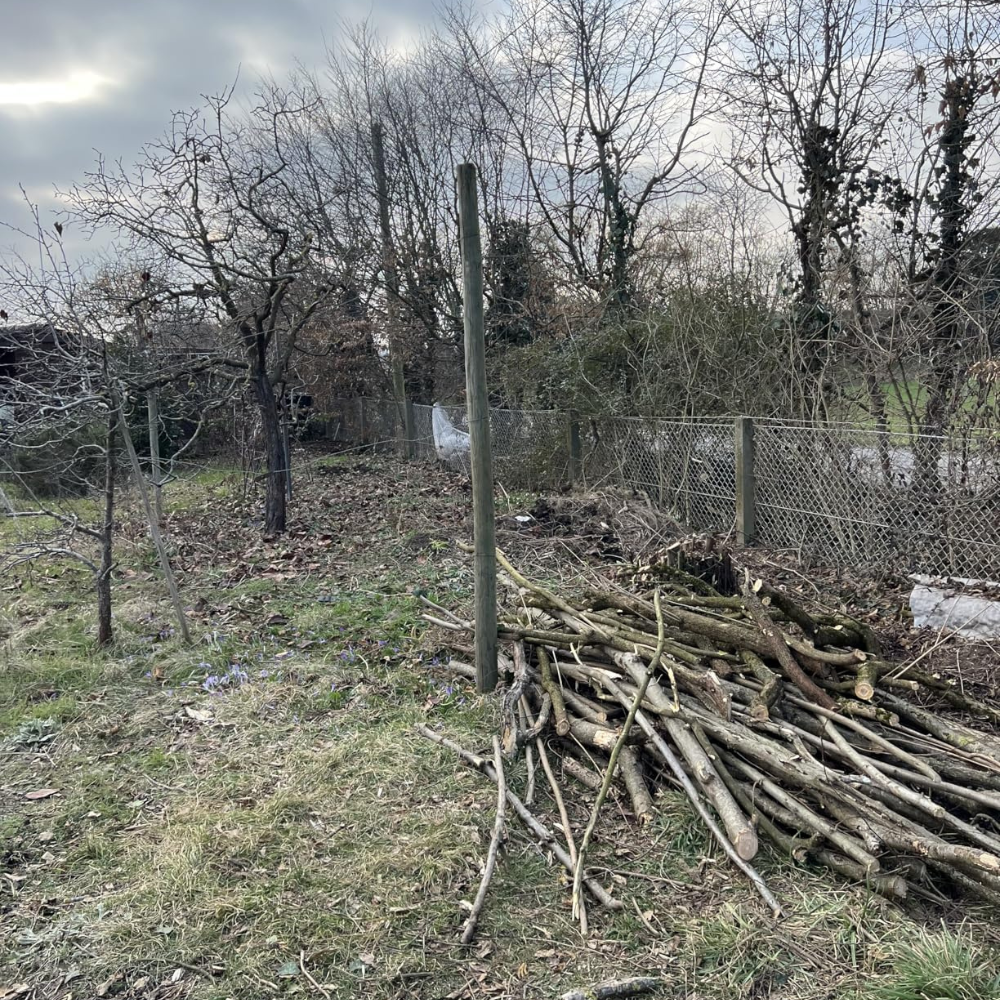 Progetto senza titolo (2)